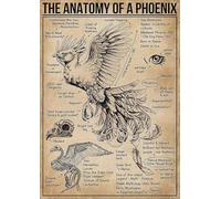 HLBSDM L'anatomie d'un phénix Plaque en métal Connaissance du phénix Affiche rétro Guide scientifique populaire pour enfants Décoration murale pour la maison, la salle de classe ou le bureau 30,5 x