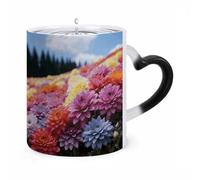 HLBSDM Mug thermosensible en céramique à motif floral arc-en-ciel et marin, idéal pour le thé, le chocolat chaud et le lait. Un cadeau unique pour un anniversaire ou la Saint-Valentin.