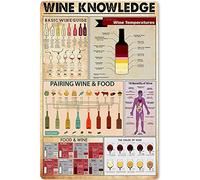HLBSDM Plaque métallique rétro « Connaissances du vin » Guide infographique du vin, affiche de cuisine, pub, café, club, décoration murale, plaques d'art, 30,5 x 40,6 cm