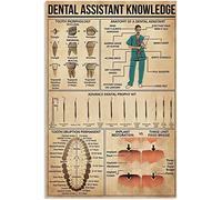 HLBSDM Plaque métallique vintage pour assistant dentaire, affiche de morphologie dentaire, décoration murale pour cabinet dentaire, 30,5 x 40,6 cm