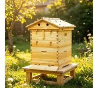 HLDJYLZS Ruche à Flux Automatique Améliorée avec Cadres Flow pour Jardin | Système miel automatique, cadres Flow, ruche bois, fenêtre observation, kit apiculture complet