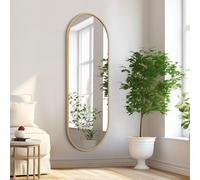 HLFMVWE Grand miroir mural de salle de bain pleine longueur pour mur, 120 x 40 cm, miroir ovale rectangulaire en forme de pilule argentée pour chambre à coucher, entrée, salle de bain, cadre en métal
