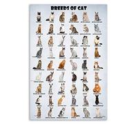 HLLNWB Poster de races de chats amusant pour les amoureux des chats (sans cadre, 40,6 x 61 cm)