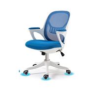 HLRTBCN Chaise de Bureau de Bureau Ergonomique, Chaise de Bureau pivotante à 360 degrés au Milieu à Dos Aqiong