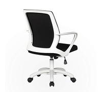 HLRTBCN Chaise de Bureau d'ordinateur Mid-Back pivotant, tâche de Maillage en Tissu réglable avec Confort Support Lombaire Respirant (Couleur: D) Aqiong
