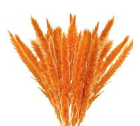 HLTER Lot de 45 fausses plantes de pampa artificielles courtes, 40,6 cm, herbe de la pampa séchée naturelle, fausses plumes, décoration pour mariage bohème, orange