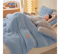 HLTQL Couette Hiver TrèS Chaude en Plumes Couverture Epaisse Et Chaude Edredon Gonflant Duvet Plume Convient à Toutes Les Saisons(4,180x220cm*3kg)