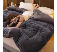 HLTQL Couette Polaire Double Face Épaisse Et Chaude, Couette en Tissu De Velours d'agneau, Couette Chaude en Cachemire, Couette Épaisse À Noyau De Couette d'hiver en Cachemire(01,220 * 240m/4kg)