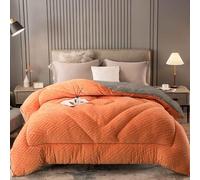 HLTQL Couette Polaire Double Face Épaisse Et Chaude, Couette en Tissu De Velours d'agneau, Couette Chaude en Cachemire, Couette Épaisse À Noyau De Couette d'hiver en Cachemire(04,150x200cm /3.5kg)