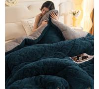 HLTQL Couverture Epaisse Et Chaude Couette en Velours De Laine d'agneau Couette Polaire Biface Edredon Gonflant Duvet Plume(b3,200x230cm*3kg)