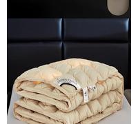 HLTQL Edredon Gonflant Duvet Plume Edredon Plume d'oie Gonflant Couette Hiver TrèS Chaude Dodo sans Housse éDredon Plume(#3,180x220cm-3kg)