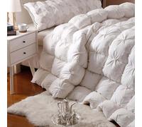 HLTQL Edredon Gonflant Duvet Plume Edredon Plume d'oie Gonflant Couette Hiver TrèS Chaude Dodo sans Housse éDredon Plume(#1,220x240cm*3kg)