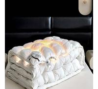 HLTQL Edredon Gonflant Duvet Plume Edredon Plume d'oie Gonflant Couette Hiver TrèS Chaude Dodo sans Housse éDredon Plume(#1,180x220cm-3.5kg)