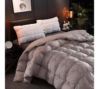 HLTQL Edredon Gonflant Duvet Plume Edredon Plume d'oie Gonflant Couette Hiver TrèS Chaude Dodo sans Housse éDredon Plume(#4,180x220cm*3.5kg)