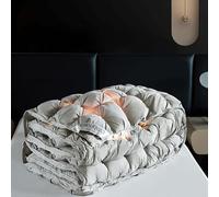 HLTQL Edredon Gonflant Duvet Plume Edredon Plume d'oie Gonflant Couette Hiver TrèS Chaude Dodo sans Housse éDredon Plume(#2,150x200cm-3kg)