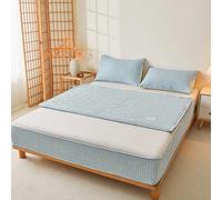 HLTQL Housse Integrale Matelas Fermeture Eclair Renove Matelas 120/150/180/200 Integral Coton Protection Matelas(5,180x200+15cm)
