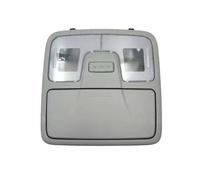 HLWXMDZ Pour Hyundai IX35 Pour Tucson Éclairage De Cabine Lampe De Lecture Grise Étui À Lunettes Ensemble 92800-2S100TX Éclairage Intérieur Pour Auto