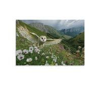 HLXZMCVBT La Chouette Art Toile Murale Abstraite, Toile Image Sur,d'œuvres D'art Pour Le Bureau Toile Décoration Murale Pour Chambre Maison Bain 16x24inch(40x60cm)