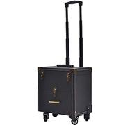 HLZLPYFC HLZLPYFC Valise de Voyage pour Chariot de beauté, Valise de Train, boîte de vanité, Valise de Rangement, Organisateur de Coiffeur, MUA, Artiste d'ongles (Couleur : Noir)