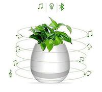 HMILYDYK Pot de fleurs musical Magic Touch Musique Plante Jouant - Haut-parleur Bluetooth sans fil multicolore LED veilleuse décoration pour fête à la maison, bureau, chambre, salon