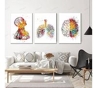 HMXQLW Abstrait Médecine Anatomie Homme Organes Heart Cerveau Aquarelle Impression sur Toile Affiche Decoration Murale Tableau Art Toile Peinture Clinique Decoration Murale sans Cadre (2,3X40x60cm)