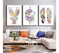 HMXQLW Abstrait Médecine Anatomie Homme Organes Heart Cerveau Aquarelle Impression sur Toile Affiche Decoration Murale Tableau Art Toile Peinture Clinique Decoration Murale sans Cadre (4,3X50x70cm)
