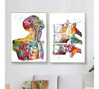 HMXQLW Anatomie Muscle Aquarelle Squelette Impression sur Toile Affiche Decoration Murale Tableau Art Moderne Toile Peinture Clinique Decoration sans Cadre (1,2X60x90cm)