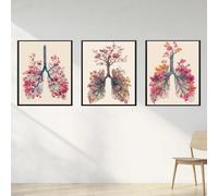 HMXQLW Aquarelle Abstraite Poumons Impression sur Toile Anatomie Affiche Decoration Murale Tableau Art Toile Peinture Salon Clinique Chambre Maison Decoration Murale Sans Cadre (3X50X70CM,2)