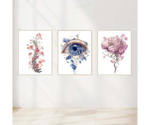 HMXQLW Aquarelle Fleur Anatomie Abstraite Organes Impression sur Toile Affiche Decoration Murale Tableau Art Toile Peinture Clinique Hôpital Salon Maison Decoration Murale Sans Cadre (3X30X50CM,9)