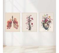 HMXQLW Aquarelle Fleur Organes Anatomie Impression sur Toile Affiche Abstraite Decoration Murale Tableau Art Toile Peinture Clinique Hôpital Salon Maison Decoration Murale Sans Cadre (3X30X50CM,2)