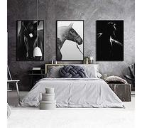 HMXQLW Noir Et Blanc Cheval Moderne Minimaliste Impression sur Toile Affiche Decoration Murale Tableau Art Moderne Toile Peinture Salon Chambre Maison Decoration Murale sans Cadre (3X40x50cm)