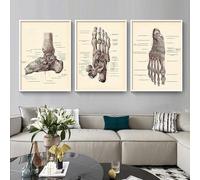 HMXQLW Vintage Pieds Anatomie du Squelette Toile Peinture Tableau Decoration Murale, Impression sur Toile Art Affiche Salon Chambre Maison Décoratifs Aesthetic Room Decor sans Cadre (3X30X40CM)
