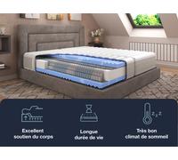 Hn8 Schlafsysteme Matelas à ressorts ensachés, 7 zones XXL Gelstar T-1000 (H2, 100 x 200)