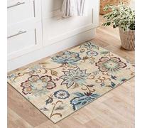 HNBFKD Tapis d'entrée Lavable et antidérapant, Tapis de Porte d'intérieur Petit Format pour Cuisine, Salle de Bain, Chambre - 100x180cm/39x71inch