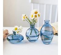 Hniuyun Lot de 3 vases en verre, mini vases à bourgeons de fleurs, vase hydroponique transparent, minimaliste, esthétique, décoration d'intérieur (bleu)