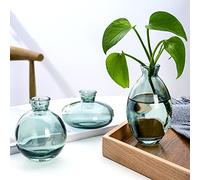 Hniuyun Lot de 3 vases en Verre, Petits vases à bourgeons de Fleurs, Vase hydroponique Transparent, Minimaliste, esthétique, décoration d'intérieur (Vert)