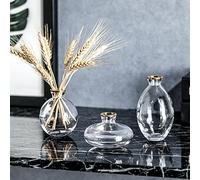 Hniuyun Lot de 3 vases en verre transparent hydroponique minimaliste et esthétique pour décoration d'intérieur (transparent)