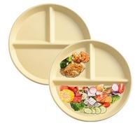 HNJZX Lot de 2 assiettes à dîner en porcelaine avec contrôle des portions de 20,3 cm pour adultes - Assiettes de régime alimentaire pour repas équilibré - Plateau de service réutilisable en céramique