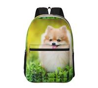 Hnnkloy Adorable chiot dans un parc printanier,Sac à dos de 17 pouces avec poches, sac à dos décontracté pour la journée, résistant à l'eau, sac d'école