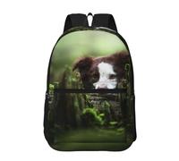 Hnnkloy Border Collie Stone Chiens bruns doux Animaux de compagnie,Sac à dos de 17 pouces avec poches, sac à dos décontracté pour la journée, résistant à l'eau, sac d'école