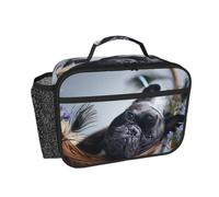 Hnnkloy Bouledogues français Centre commercial Chiens noirs Animaux de compagnie,Sac à lunch portable, boîte à lunch résistante, sac isotherme réutilisable