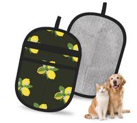 Hnnkloy Bouquet de Citron avec Branche et lys Noirs, Lot de 2 Gants antistatiques pour l'épilation des Poils d'animaux (Chiens et Chats)