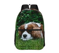 Hnnkloy Cavalier King Charles Spaniel Brun Blanc,Sac à dos de 17 pouces avec poches, sac à dos décontracté pour la journée, résistant à l'eau, sac d'école