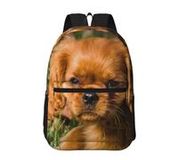 Hnnkloy Cavalier King Charles Spaniel, chiens bruns à poil bouclé,Sac à dos de 17 pouces avec poches, sac à dos décontracté pour la journée, résistant à l'eau, sac d'école