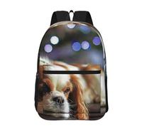 Hnnkloy Cavalier King Charles Spaniel Petit Spaniel,Sac à dos de 17 pouces avec poches, sac à dos décontracté pour la journée, résistant à l'eau, sac d'école