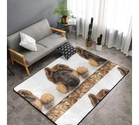 Hnnkloy Chiot Berger Allemand, Tapis de Sol antidérapant de Grande Taille pour Salon et Chambre, 150 x 100 cm.