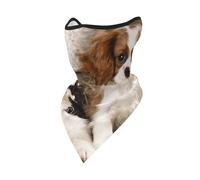 Hnnkloy Chiots Cavalier King Charles Spaniel de petite taille,Masque de protection souple cache-cou, demi-masque, écharpe, masque de sport