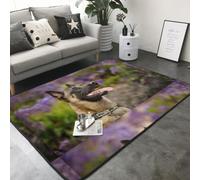 Hnnkloy Malinois Belges Animaux de Compagnie Chiens Malinois Belges, Tapis de Sol antidérapant pour Salon et Chambre, 208 x 148 cm