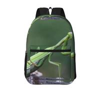 Hnnkloy Mante religieuse verte,Sac à dos de 17 pouces avec poches, sac à dos décontracté pour la journée, résistant à l'eau, sac d'école