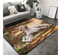 Hnnkloy Setter Anglais Automne Animaux de Compagnie Chiens Anglais, Tapis de Sol antidérapant pour Salon et Chambre, 208 x 148 cm